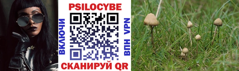 как найти наркотики  Покровск  Псилоцибиновые грибы MAGIC MUSHROOMS 